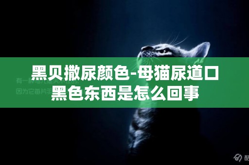 黑貝撒尿顏色-母貓尿道口黑色東西是怎么回事