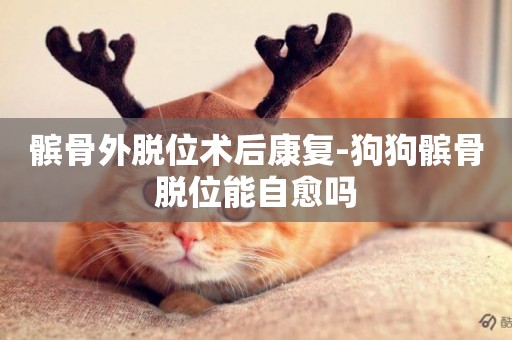 髕骨外脫位術后康復-狗狗髕骨脫位能自愈嗎