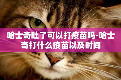 哈士奇吐了可以打疫苗嗎-哈士奇打什么疫苗以及時間