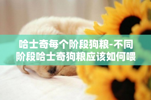 哈士奇每個階段狗糧-不同階段哈士奇狗糧應該如何喂食
