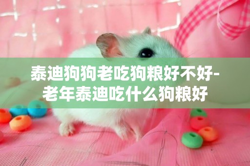 泰迪狗狗老吃狗糧好不好-老年泰迪吃什么狗糧好