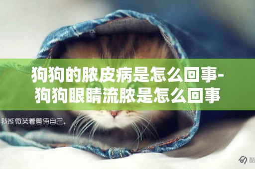 狗狗的膿皮病是怎么回事-狗狗眼睛流膿是怎么回事