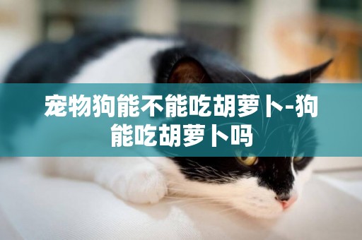 寵物狗能不能吃胡蘿卜-狗能吃胡蘿卜嗎