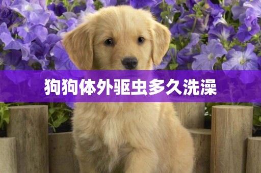 狗狗體外驅蟲多久洗澡