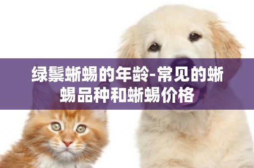 綠鬃蜥蜴的年齡-常見的蜥蜴品種和蜥蜴價格