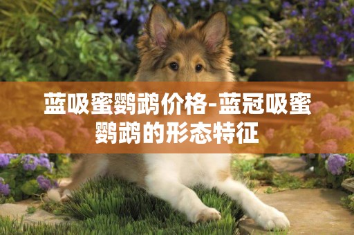 藍吸蜜鸚鵡價格-藍冠吸蜜鸚鵡的形態特征