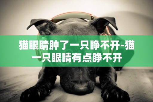 貓眼睛腫了一只睜不開-貓一只眼睛有點睜不開
