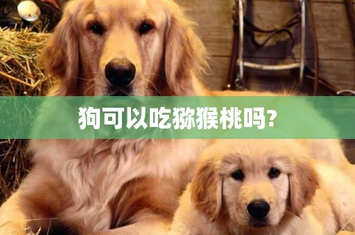 狗可以吃獼猴桃嗎?