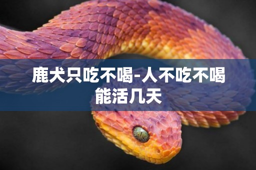 鹿犬只吃不喝-人不吃不喝能活幾天