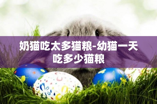 奶貓吃太多貓糧-幼貓一天吃多少貓糧