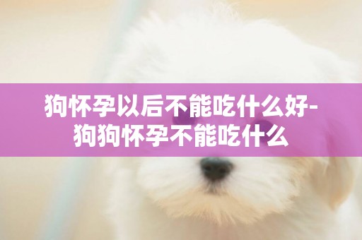狗懷孕以后不能吃什么好-狗狗懷孕不能吃什么