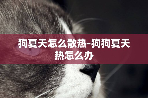 狗夏天怎么散熱-狗狗夏天熱怎么辦