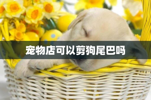 寵物店可以剪狗尾巴嗎
