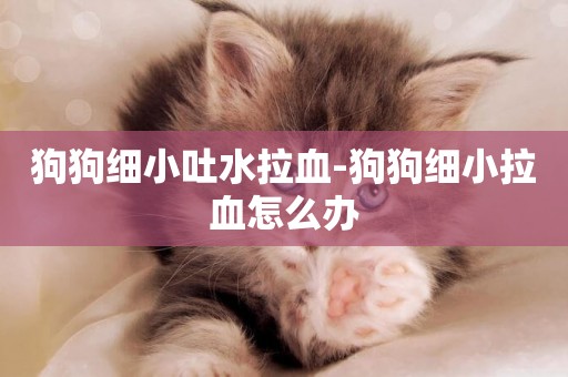 狗狗細小吐水拉血-狗狗細小拉血怎么辦