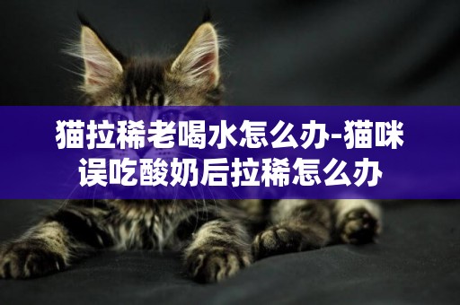 貓拉稀老喝水怎么辦-貓咪誤吃酸奶后拉稀怎么辦