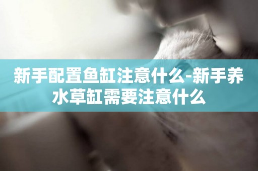 新手配置魚缸注意什么-新手養水草缸需要注意什么