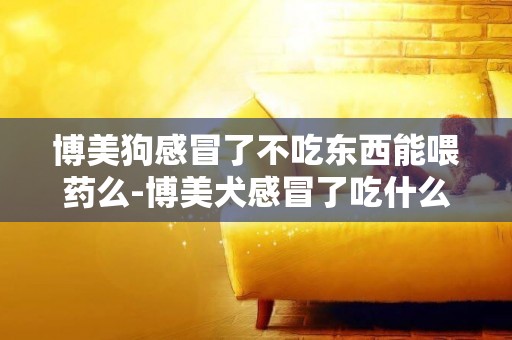 博美狗感冒了不吃東西能喂藥么-博美犬感冒了吃什么藥