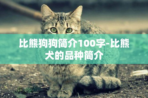 比熊狗狗簡介100字-比熊犬的品種簡介