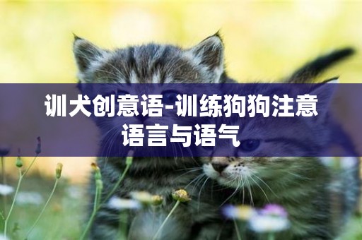 訓犬創意語-訓練狗狗注意語言與語氣