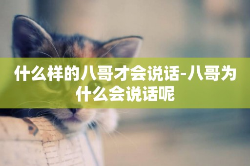 什么樣的八哥才會說話-八哥為什么會說話呢