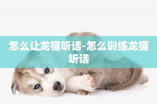 怎么讓龍貓聽話-怎么訓練龍貓聽話