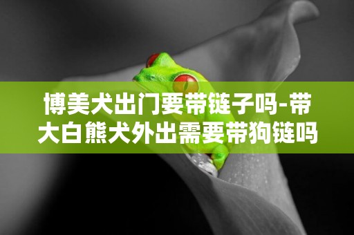 博美犬出門要帶鏈子嗎-帶大白熊犬外出需要帶狗鏈嗎