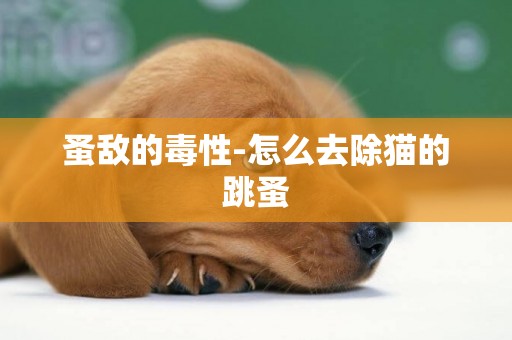 蚤敵的毒性-怎么去除貓的跳蚤