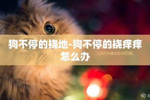 狗不停的撓地-狗不停的撓癢癢怎么辦