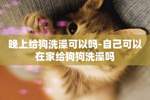 晚上給狗洗澡可以嗎-自己可以在家給狗狗洗澡嗎