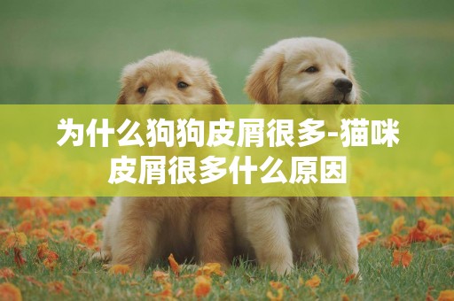為什么狗狗皮屑很多-貓咪皮屑很多什么原因