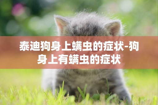 泰迪狗身上螨蟲的癥狀-狗身上有螨蟲的癥狀