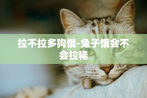 拉不拉多狗餓-兔子餓會不會拉稀