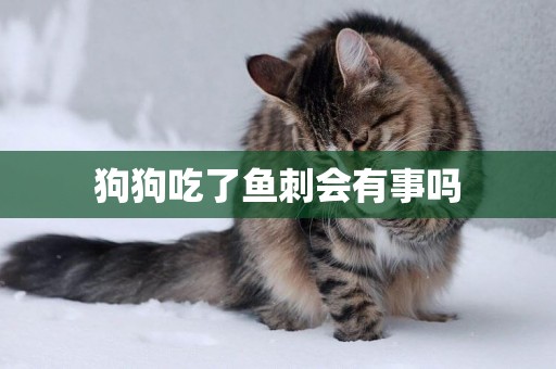 狗狗吃了魚刺會有事嗎