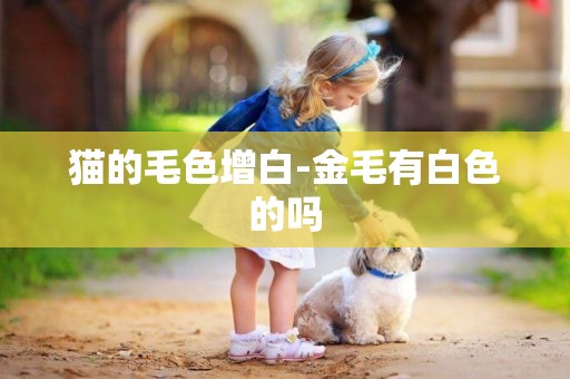 貓的毛色增白-金毛有白色的嗎