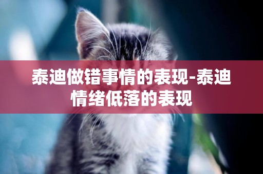泰迪做錯事情的表現-泰迪情緒低落的表現
