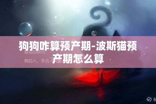 狗狗咋算預產期-波斯貓預產期怎么算