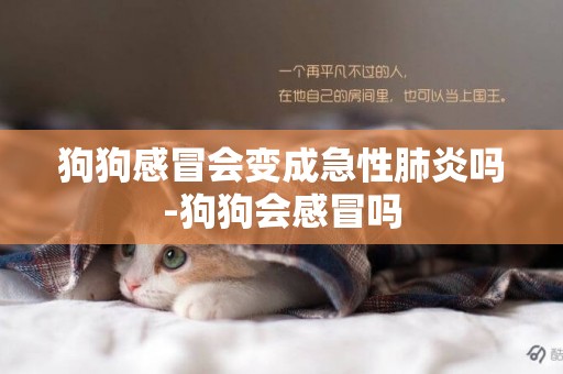 狗狗感冒會變成急性肺炎嗎-狗狗會感冒嗎