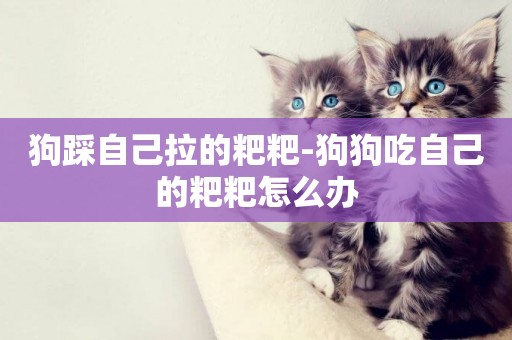 狗踩自己拉的粑粑-狗狗吃自己的粑粑怎么辦
