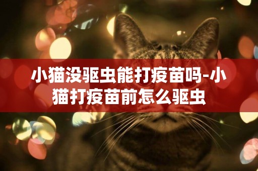 小貓沒驅蟲能打疫苗嗎-小貓打疫苗前怎么驅蟲