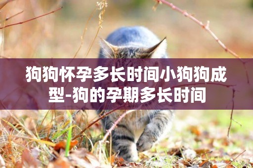 狗狗懷孕多長時間小狗狗成型-狗的孕期多長時間