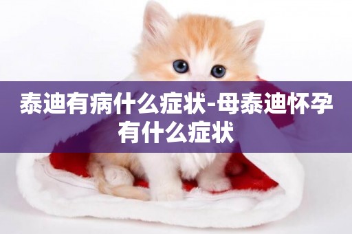 泰迪有病什么癥狀-母泰迪懷孕有什么癥狀