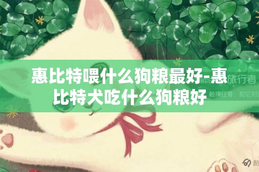 惠比特喂什么狗糧最好-惠比特犬吃什么狗糧好