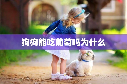 狗狗能吃葡萄嗎為什么