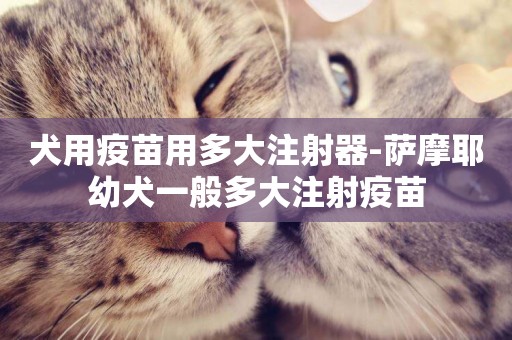 犬用疫苗用多大注射器-薩摩耶幼犬一般多大注射疫苗