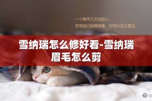 雪納瑞怎么修好看-雪納瑞眉毛怎么剪