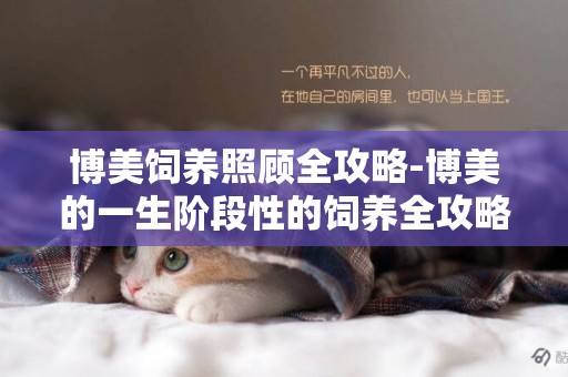 博美飼養照顧全攻略-博美的一生階段性的飼養全攻略