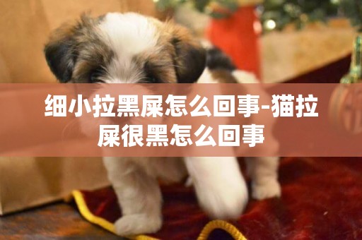 細小拉黑屎怎么回事-貓拉屎很黑怎么回事