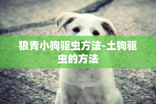 狼青小狗驅蟲方法-土狗驅蟲的方法