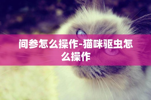 間參怎么操作-貓咪驅蟲怎么操作