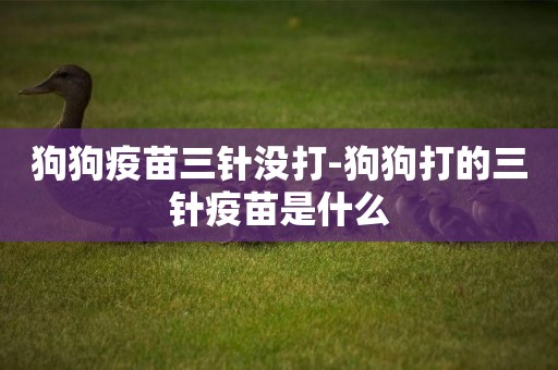 狗狗疫苗三針沒打-狗狗打的三針疫苗是什么